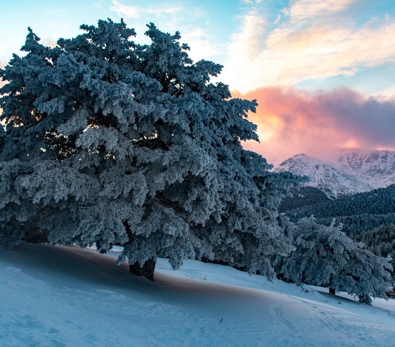 Aemet anuncia un cambio radical del tiempo: se espera nieve en Madrid