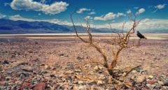 La increíble profecía de Nostradamus sobre la sequía en España: esta ciudad está en peligro
