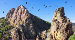 Monfragüe, el parque donde ver las aves más impresionantes de España