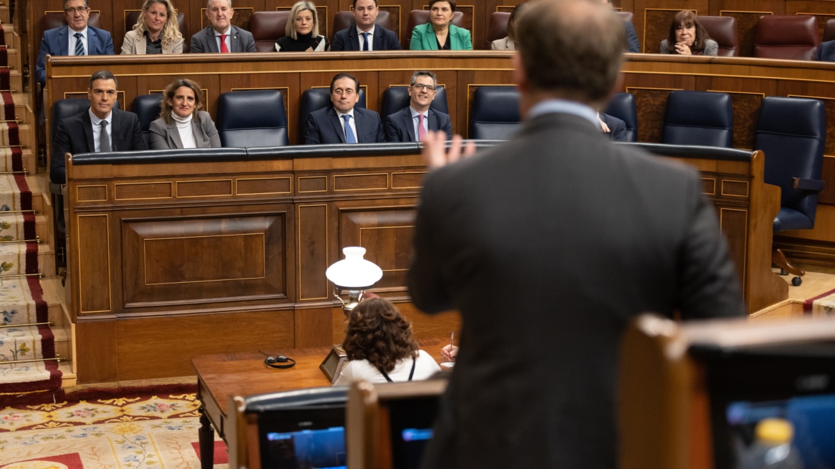 El presidente del PP, Alberto Núñez Feijóo, interviene en el Congreso de los Diputados
