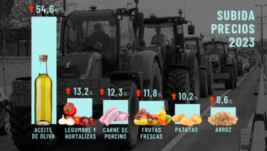 ¿Quién se beneficia de la fuerte subida de los precios de los alimentos?