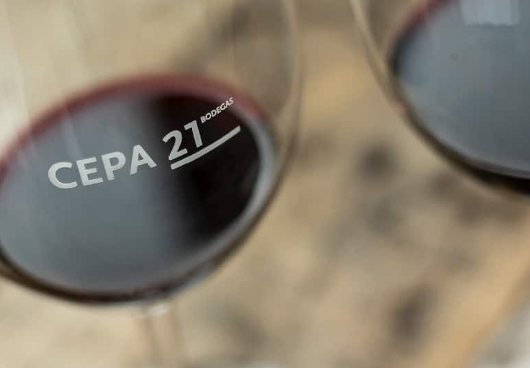 Así es la bodega Cepa 21