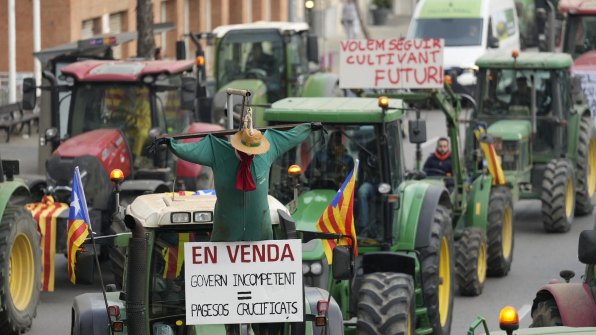 La Generalitat acusa al Gobierno de incrementar la burocracia  de la agricultura con 10 decretos en dos años