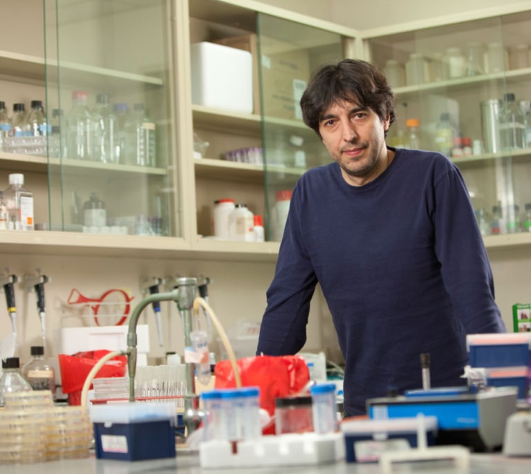La ciencia avala 'la dieta de la longevidad': disminuye el riesgo de enfermedades y reduce la edad biológica