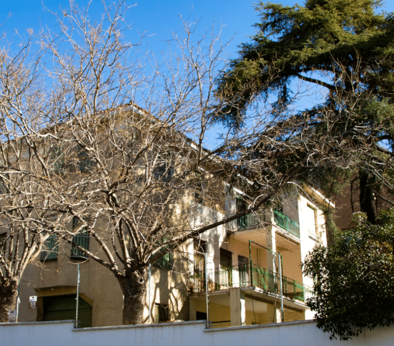 Velintonia 3, el callejón sin salida de la casa del nobel Aleixandre