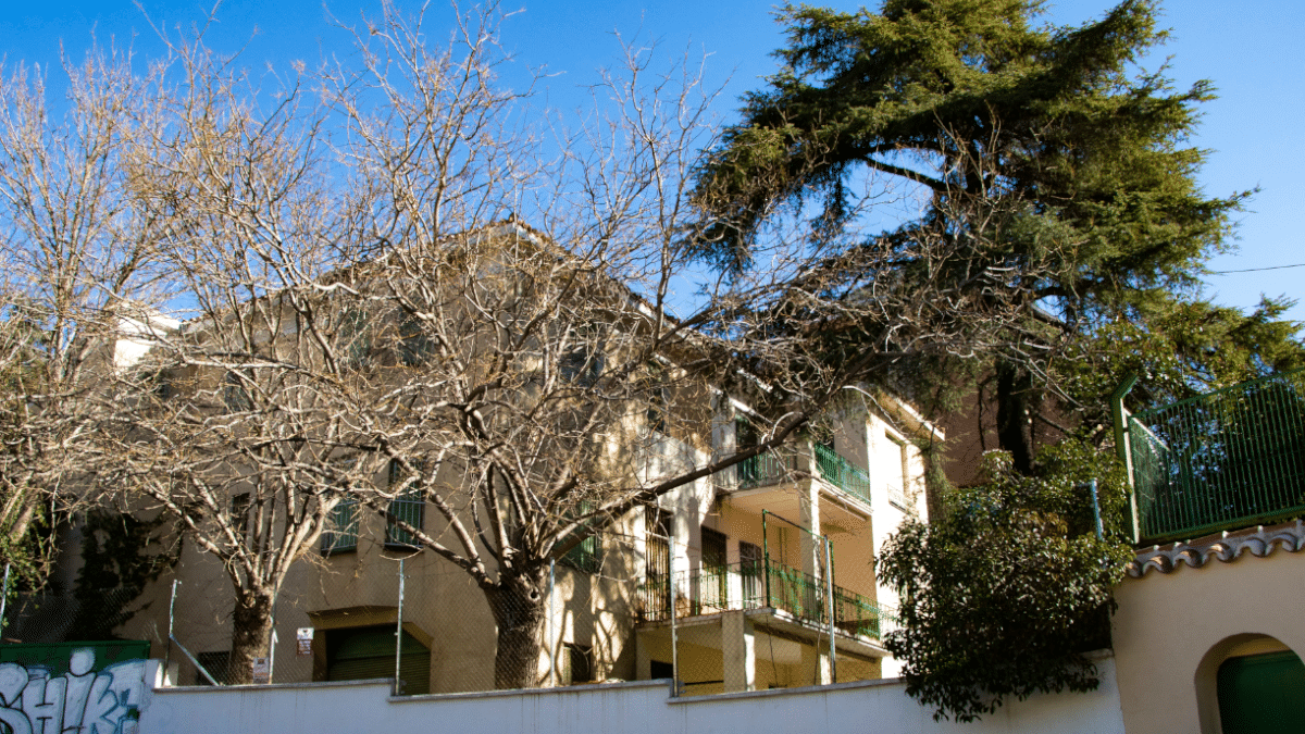 Velintonia vista desde el lado oeste con el imponente cedro libanés.