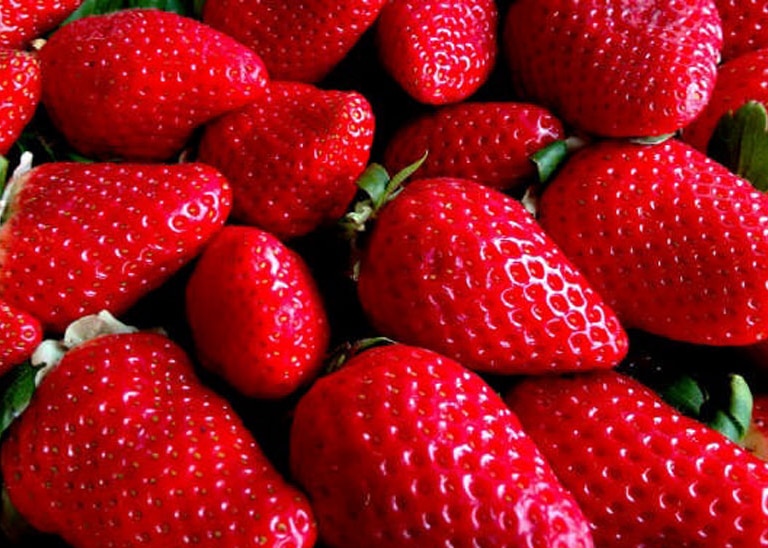 Moreno afirma que las fresas de Marruecos con hepatitis A no han sido comercializadas