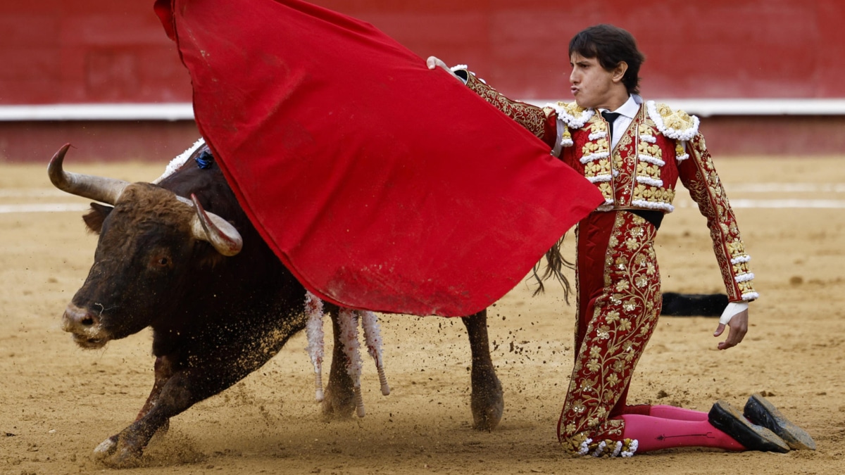 Muletazo de rodillas de Roca Rey al toro de Jandilla al que desorejó en Valencia.