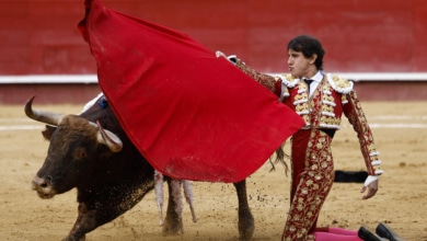Triunfo grande de Roca Rey con un toro de vuelta al ruedo de Jandilla en Valencia