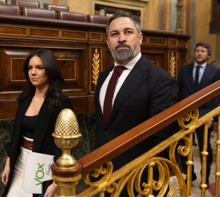 Vox se apoya en el 'caso Koldo' para reactivar dos querellas contra el Gobierno por su gestión de la pandemia