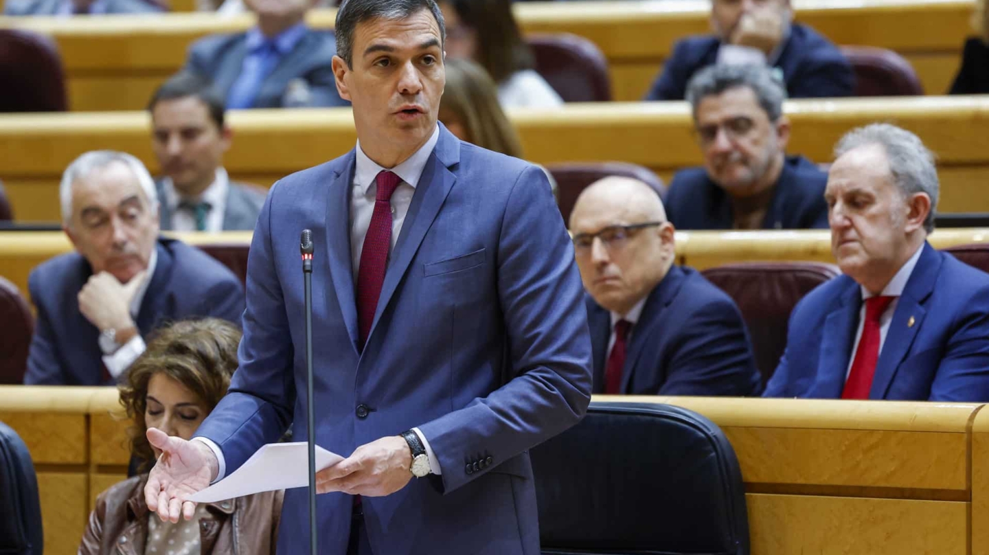 Pedro Sánchez, en el Senado.