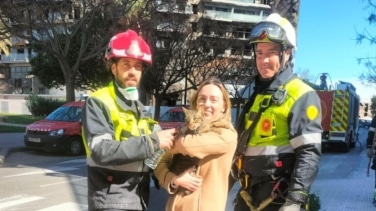 Los bomberos rescatan a Coco, un gato superviviente del incendio de Valencia