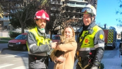 Los bomberos rescatan a Coco, un gato superviviente del incendio de Valencia
