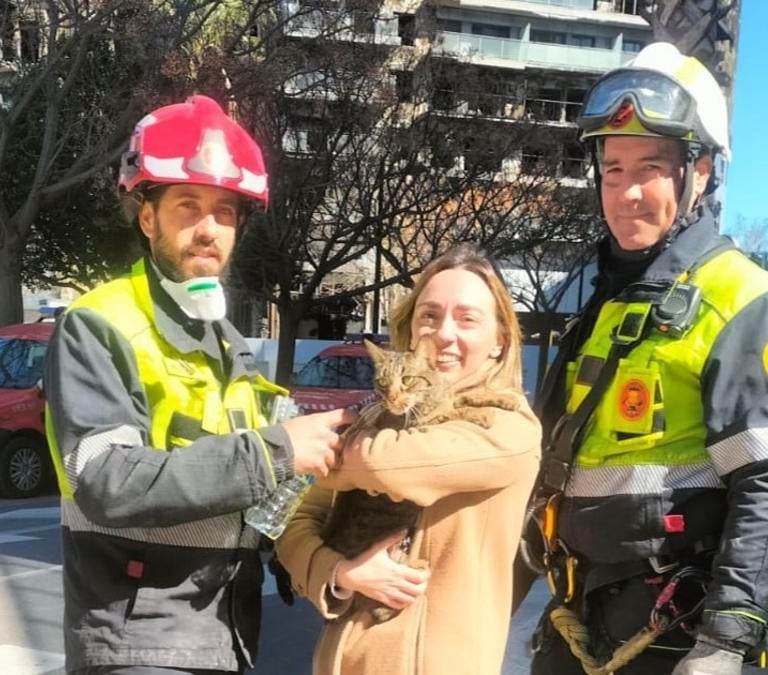 Los bomberos rescatan a Coco, un gato superviviente del incendio de Valencia