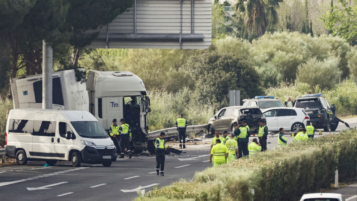 Los guardias civiles miembros del Grupo de Acción Rápida (GAR) que fueron arrollados esta madrugada por un camión articulado en la AP-4