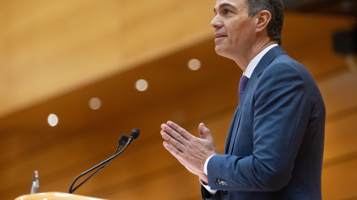 Pedro Sánchez interviene durante una sesión en el Senado.