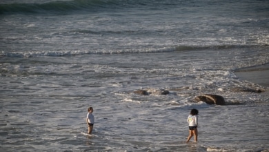 Un planeta en ebullición: nueve meses seguidos batiendo el récord de calor