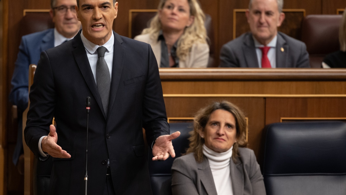 El presidente del Gobierno, Pedro Sánchez, interviene durante una sesión de control al Gobierno