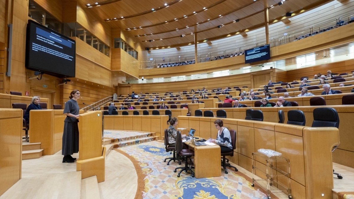 Sesión de control al Gobierno en el Senado