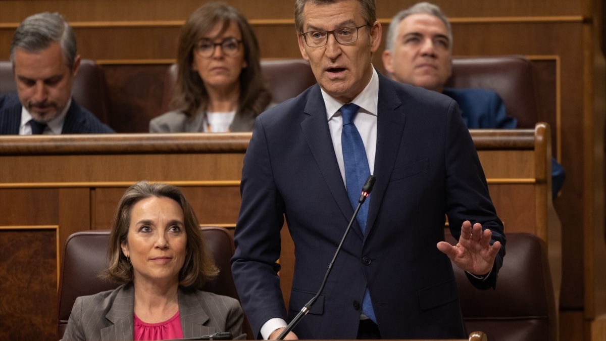 Alberto Núñez Feijóo interviene durante la sesión de control al Gobierno en el Congreso de los Diputados