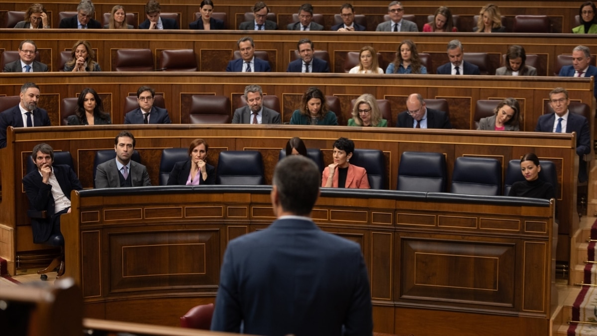 Pedro Sánchez interviene hoy durante la sesión de control al Gobierno en el Congreso de los Diputados.