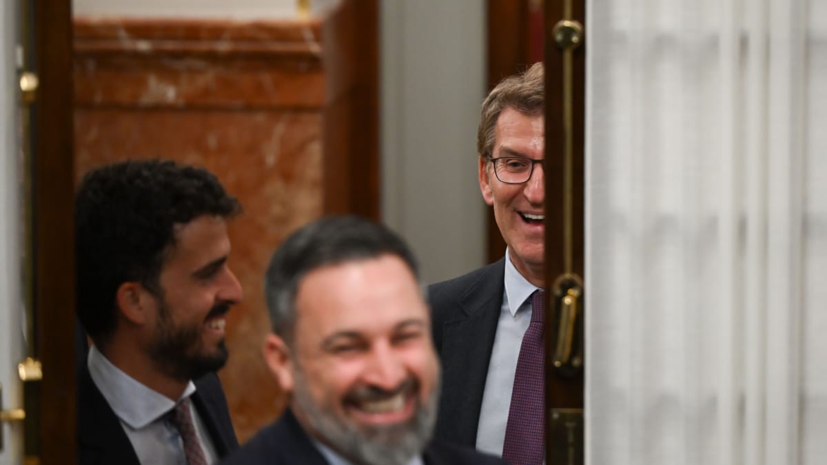 El líder del PP, Alberto Núñez Feijóo (d), y el líder de Vox, Santiago Abascal (c), durante el pleno del Congreso que ha aprobado la amnistía