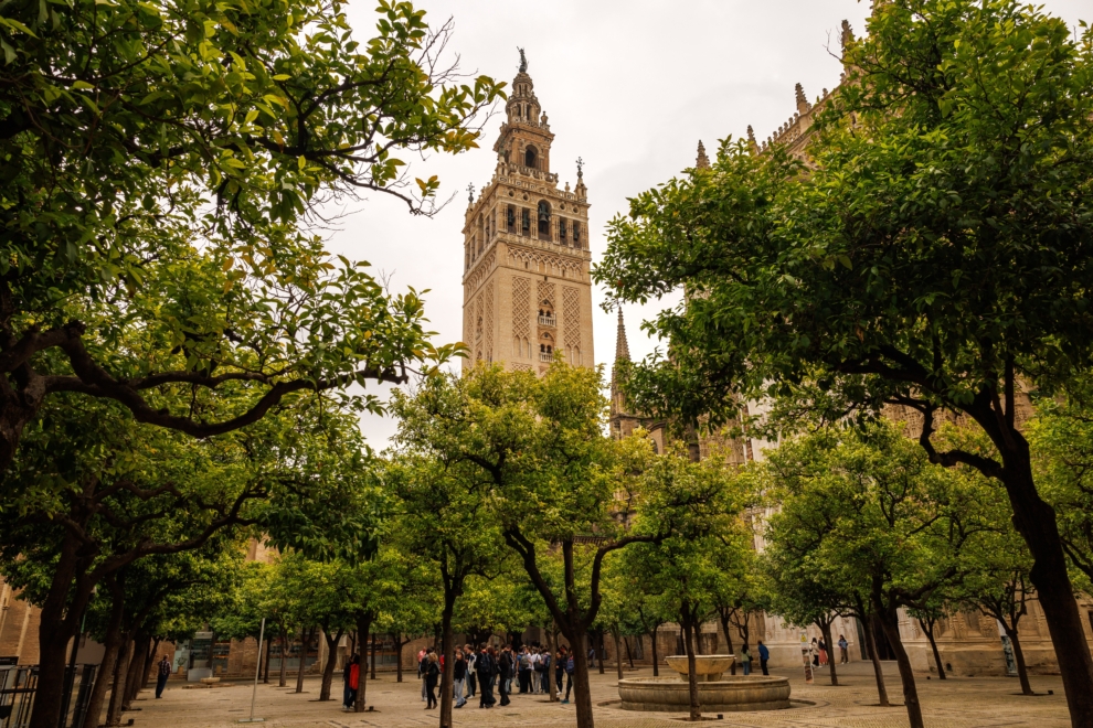 Vista, desde el Patio de los Naranjos de la Catedral de Sevilla, de la fachada norte y oeste de la Giralda cuya restauración integral ha concluido tras siete años de trabajos
