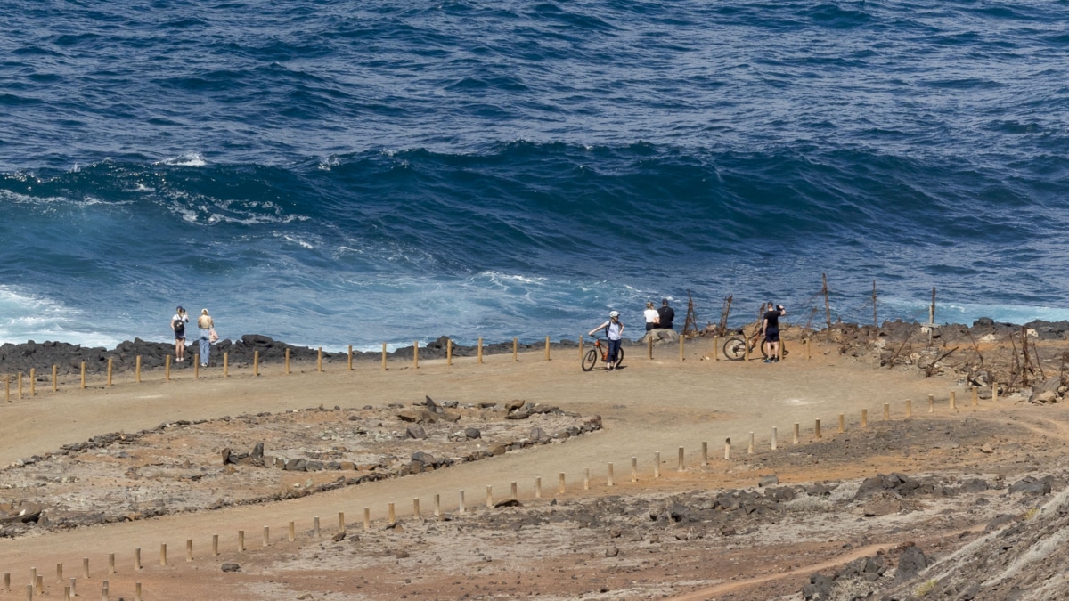 Distintos recursos de emergencias y del Ejército buscan desde este viernes a dos menores de 16 y 17 años en las inmediaciones de la playa de El Confital, en Las Palmas de Gran Canaria