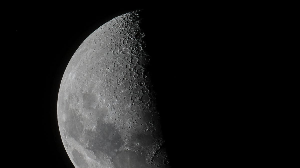 Los efectos de la luna en cuarto creciente en los animales