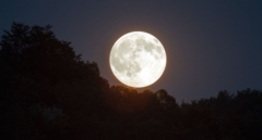 Luna llena de marzo 2024: a qué hora se puede ver, desde dónde y por qué se llama Luna del Gusano