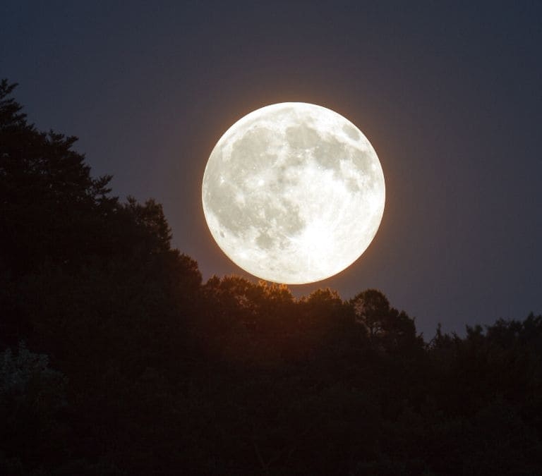 Luna llena de marzo 2024: a qué hora se puede ver, desde dónde y por qué se llama Luna del Gusano