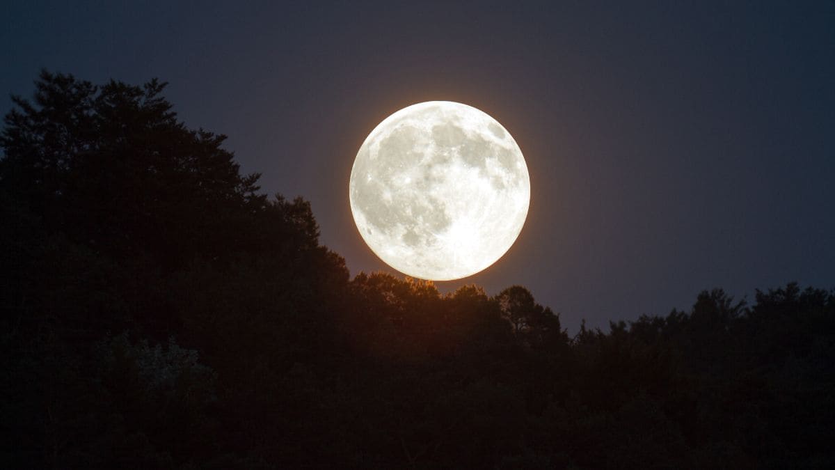 Luna del gusano. Luna llena