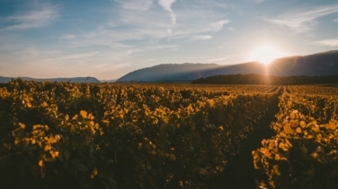 Cómo será el tiempo en primavera, según AEMET