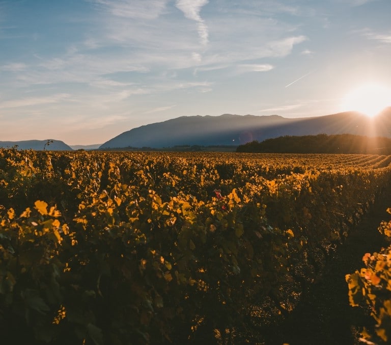 Cómo será el tiempo en primavera, según AEMET