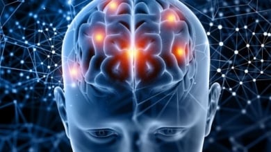 Cómo hacer para que el cerebro descanse: los consejos expertos