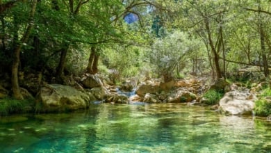 Cinco de los pueblos más bonitos de la sierra de Cazorla que tienes que ver en Semana Santa