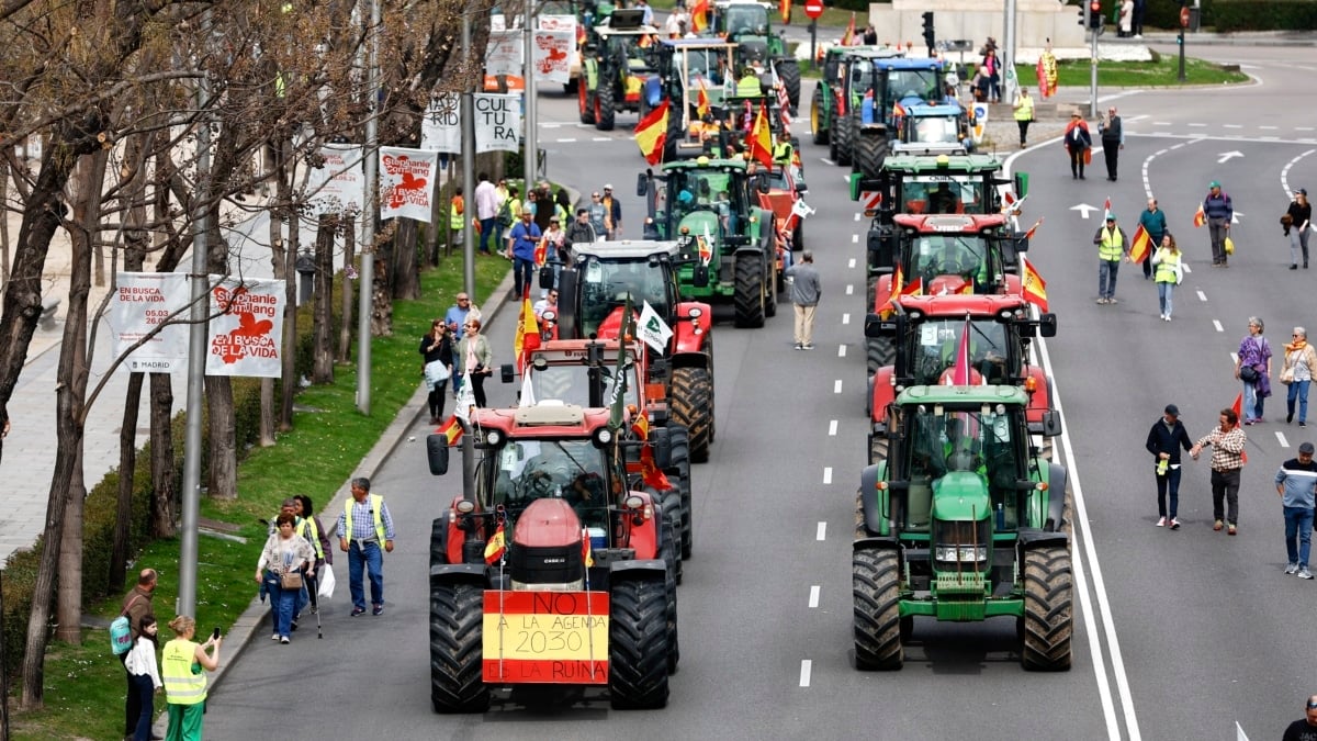 Agricultores y ganaderos participan en una tractorada de protesta en Madrid este domingo.