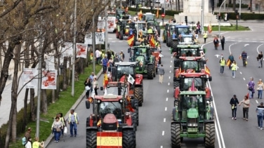 Miles de agricultores vuelven a manifestarse en Madrid y donan 135 litros de aceite como protesta por la subida de precios