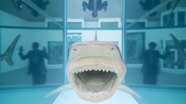 Los tiburones acechan a Damien Hirst: polémica por falsear la fecha de varias de sus obras