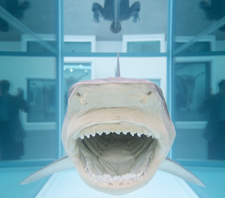 Los tiburones acechan a Damien Hirst: polémica por falsear la fecha de varias de sus obras