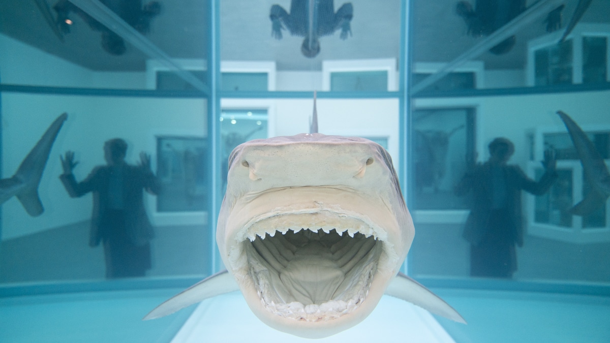 Los tiburones acechan a Damien Hirst: polémica por falsear la fecha de varias de sus obras