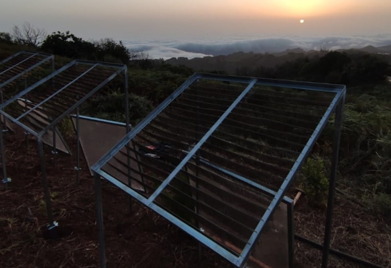 El invento español que extrae agua de la niebla y cualquiera puede montar en casa