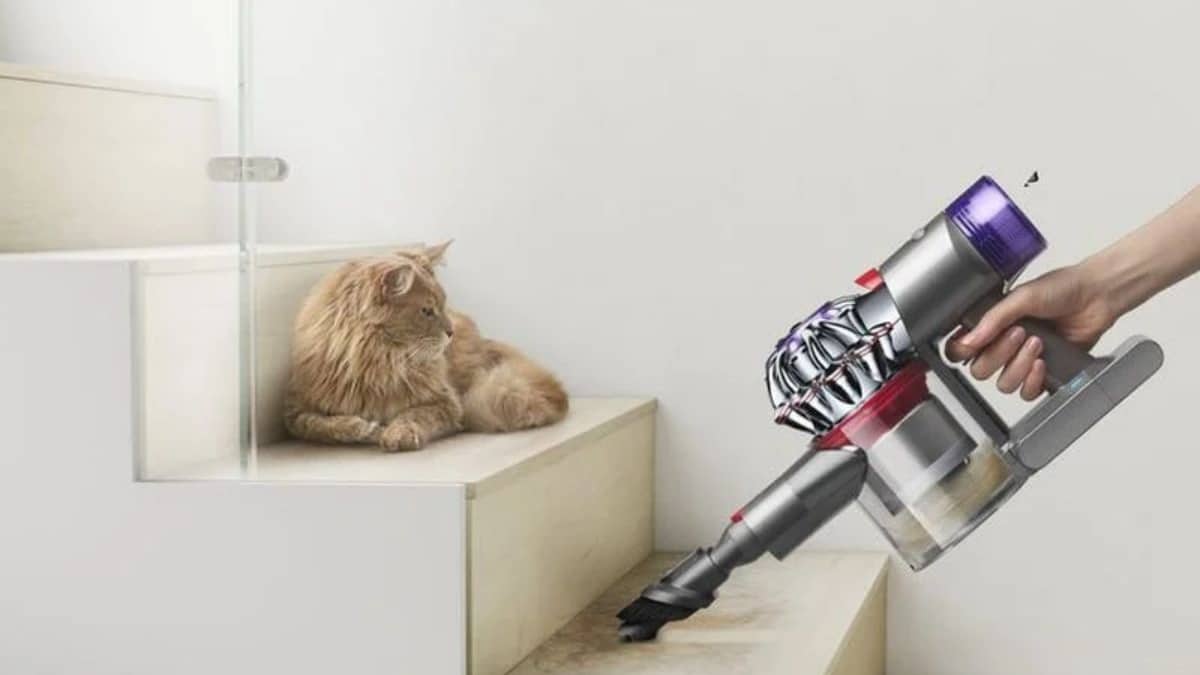 Aspiradora sin cable Dyson V8 Absolute