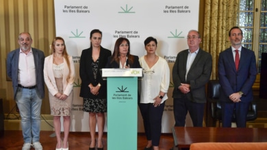 Vox niega otra crisis en Baleares tras la renuncia de la dirección del grupo parlamentario