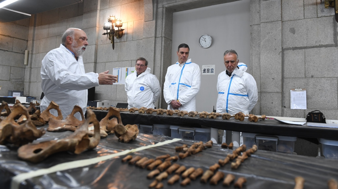 El presidente del Gobierno, Pedro Sánchez, junto al ministro Ángel Víctor Torres y el secretario de Estado de Memoria Democrática, Fernando Martínez, durante su visita al Valle de Cuelgamuros para conocer los trabajos de recuperación de 160 víctimas reclamadas por sus familias, este 4 de abril de 2024.