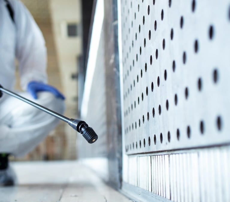 Cómo acabar con la plaga de cucarachas mutantes que invaden tu casa