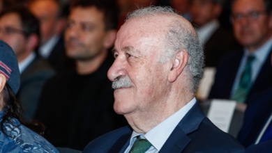 The government turns to Del Bosque to represent Spanish football and control the Federation.