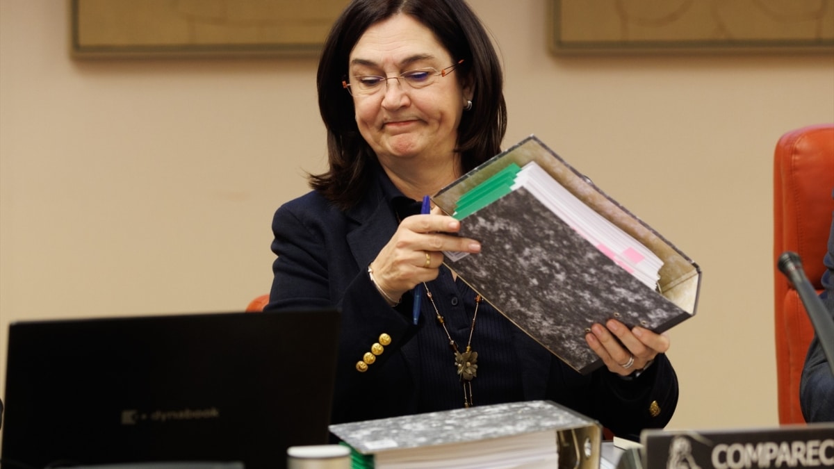 La presidenta de la CNMC, Cani Fernández, en una comisión en el Congreso de los Diputados.