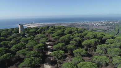 La Junta edita una nueva guía de los Monumentos Naturales de Andalucía
