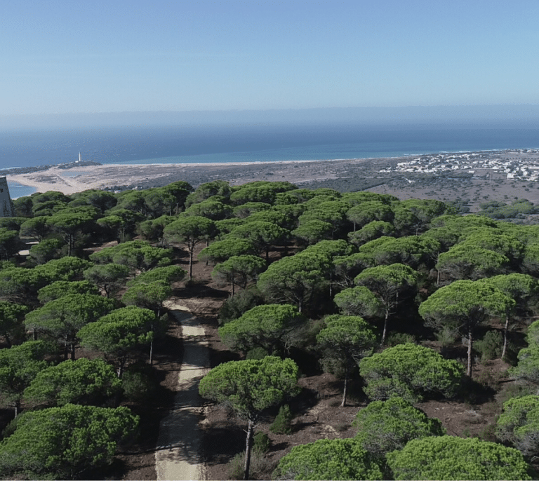 La Junta edita una nueva guía de los Monumentos Naturales de Andalucía